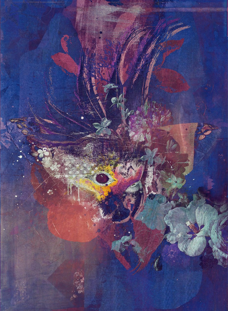 Peacock, 2016 (Collage på lærred) af Teis Albers