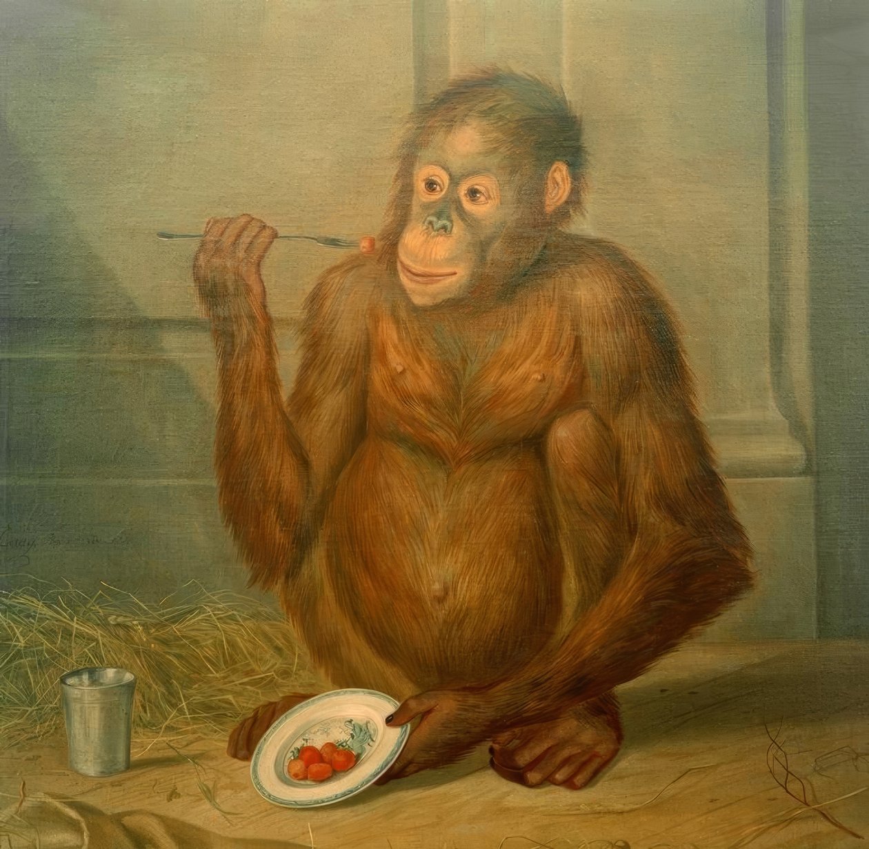 Orangutang, spiser jordbær af Tethart Philipp Christian Haag