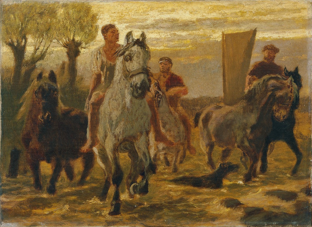 hestedam af Teutwart Schmitson