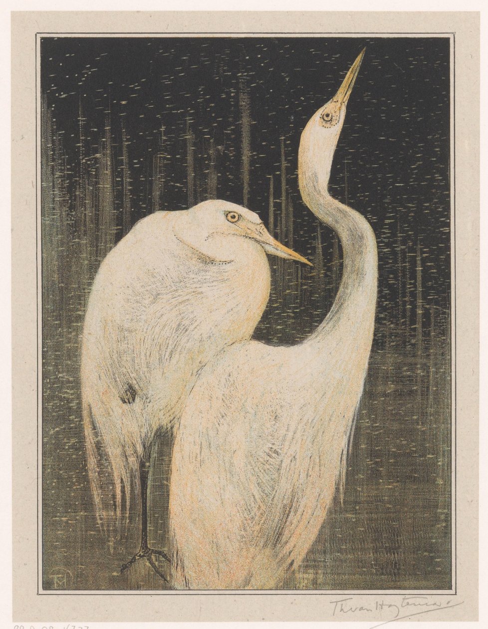 To Egrets af Theo van Hoytema (signed by artist)