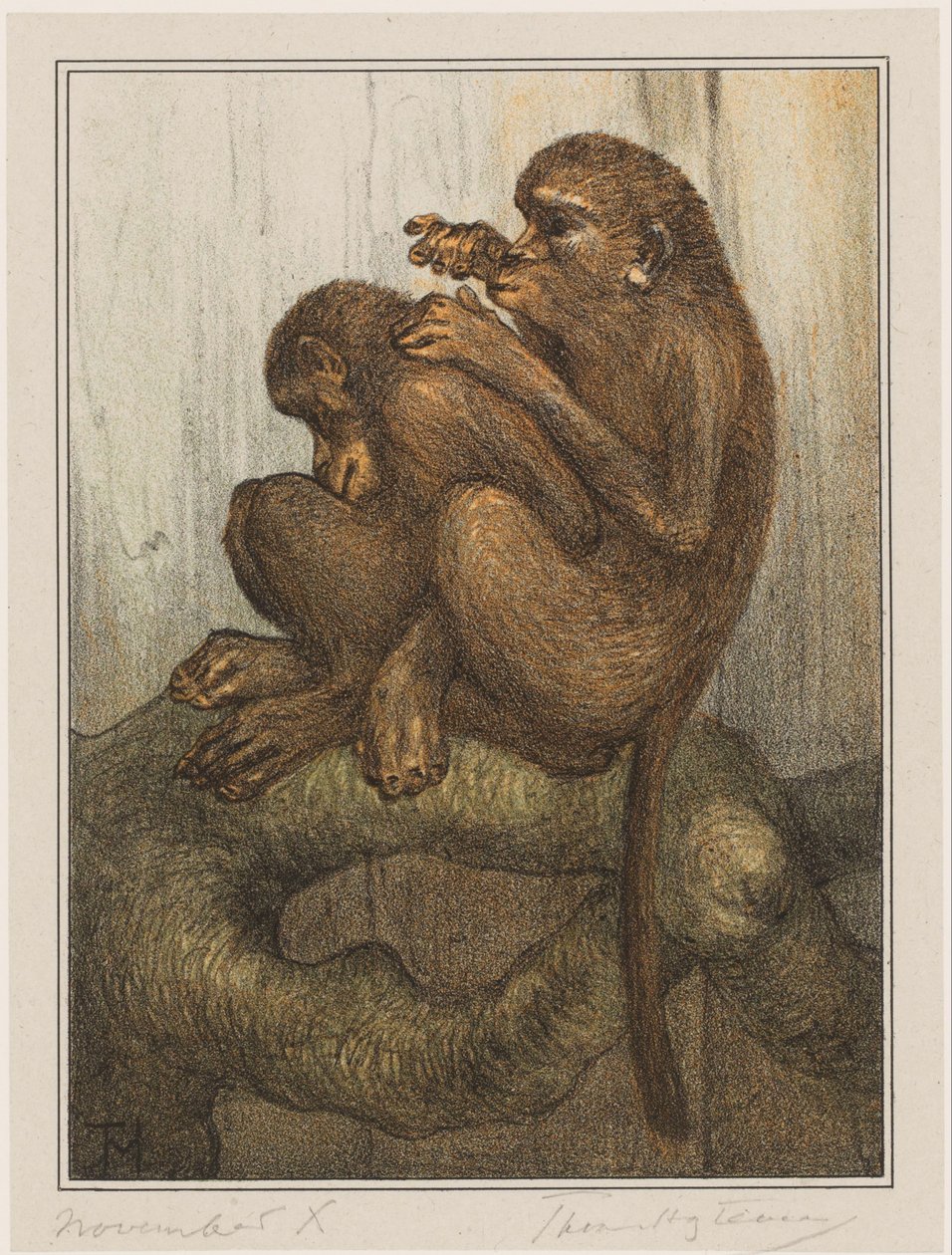 loppeaber af Theo van Hoytema (signed by artist)