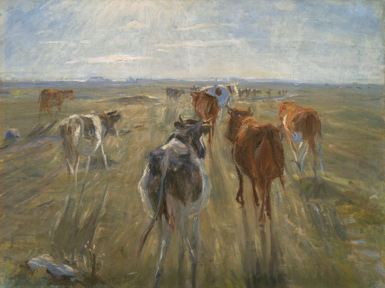 Lange Skygger. Kvæg på øen Saltholm, ca. 1890 af Theodor Esbern Philipsen