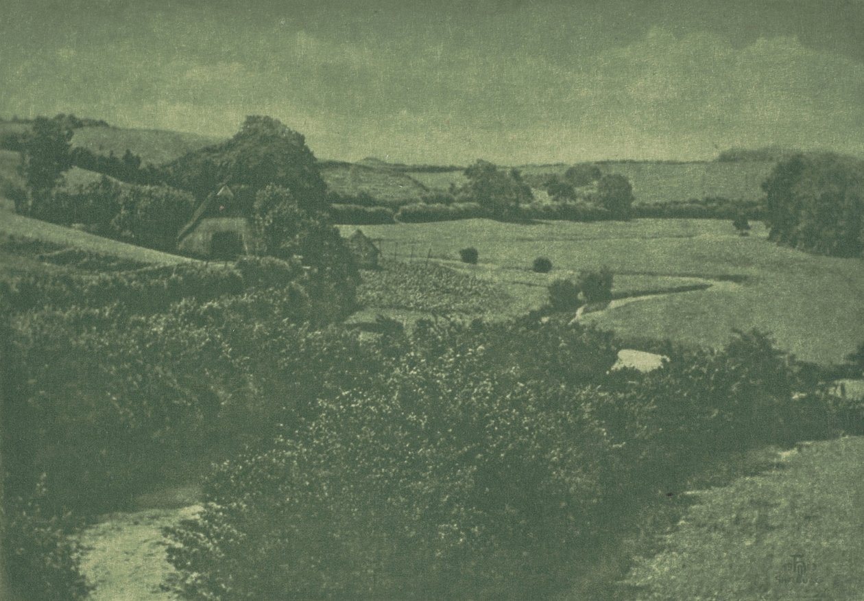 Kameraarbejde: Meadow-brook, 1904. af Theodor Hofmeister