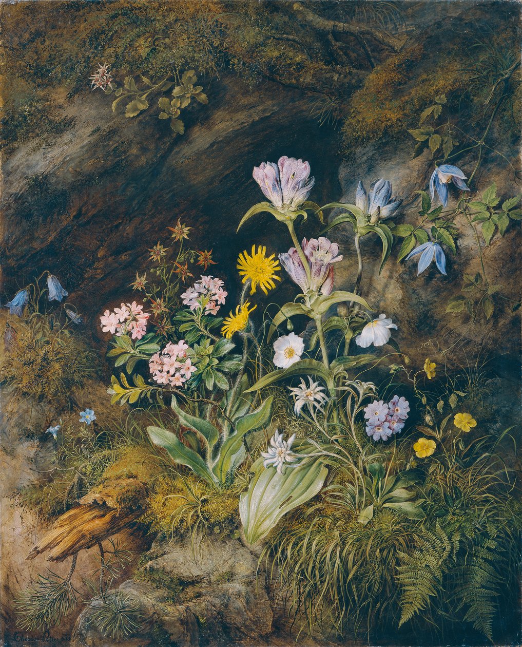 Alpine flora af Theodor Josef Petter