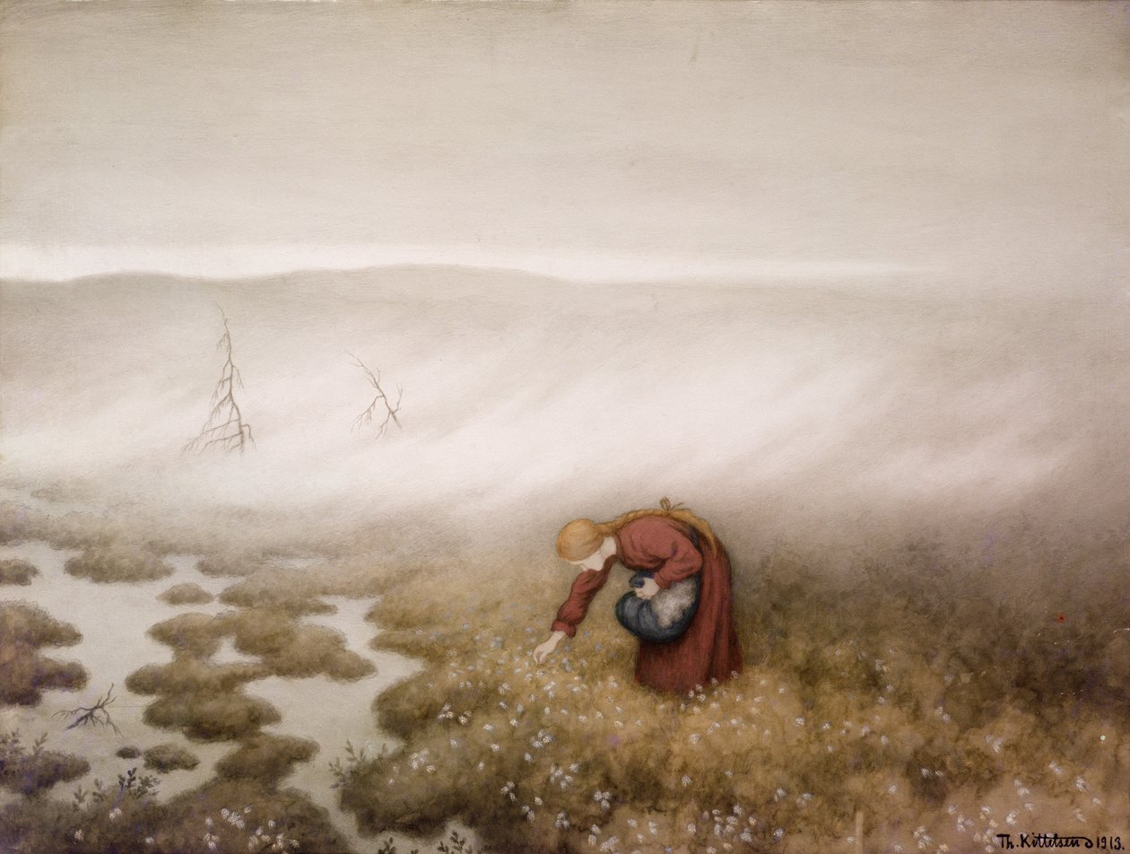 Bomuldsgræs af Theodor Kittelsen