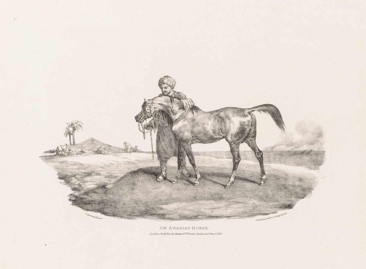 En arabisk hest af Theodore Gericault