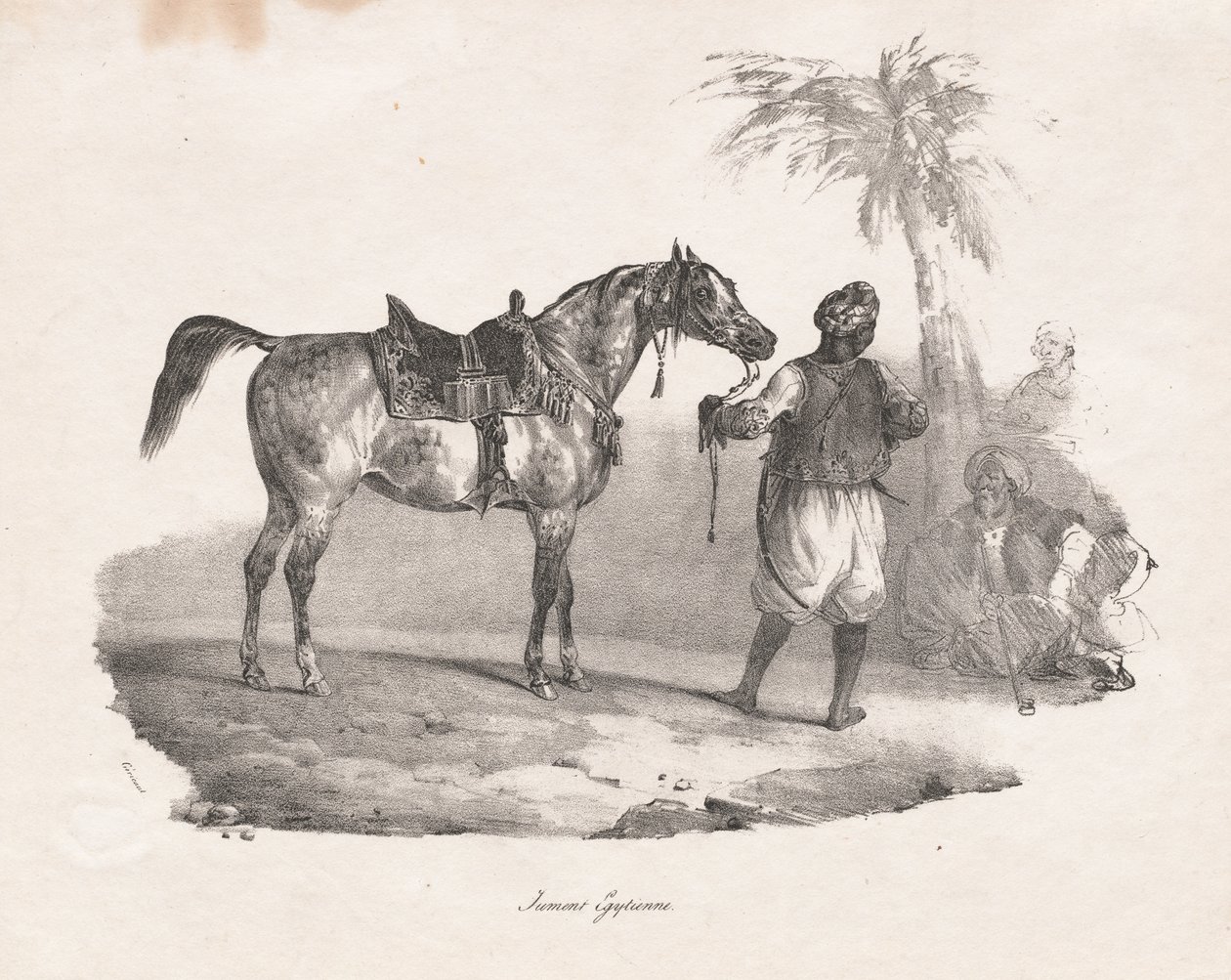 Egyptisk Hoppe, 1822. af Theodore Gericault