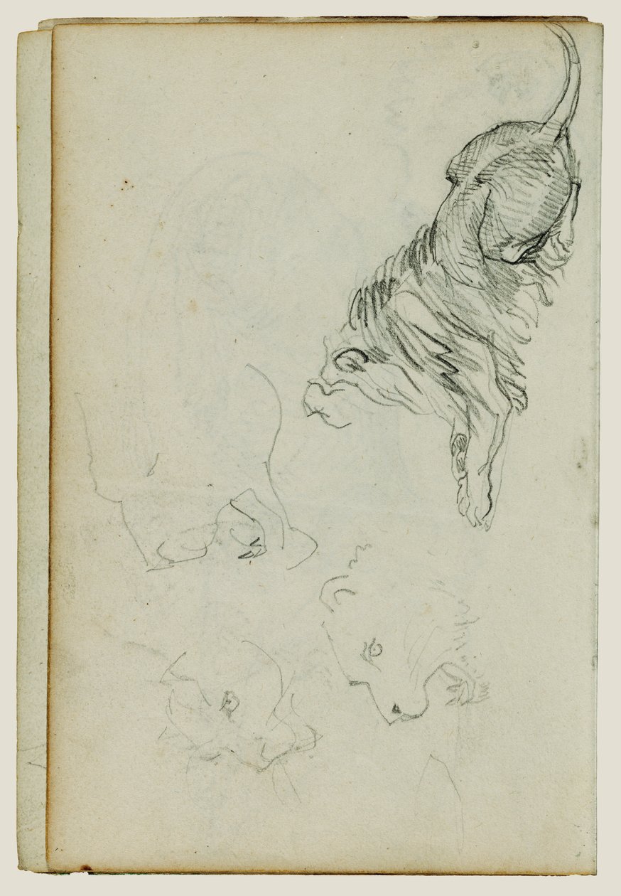 Fire løvestudier af Theodore Gericault