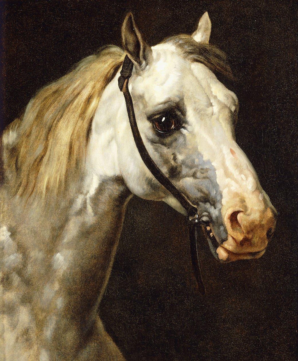 Hovedet af en broget hest, af Theodore Gericault