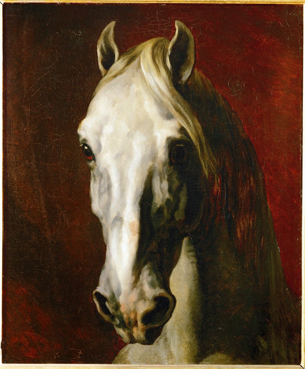 Hovedet af en hvid hest ... af Theodore Gericault