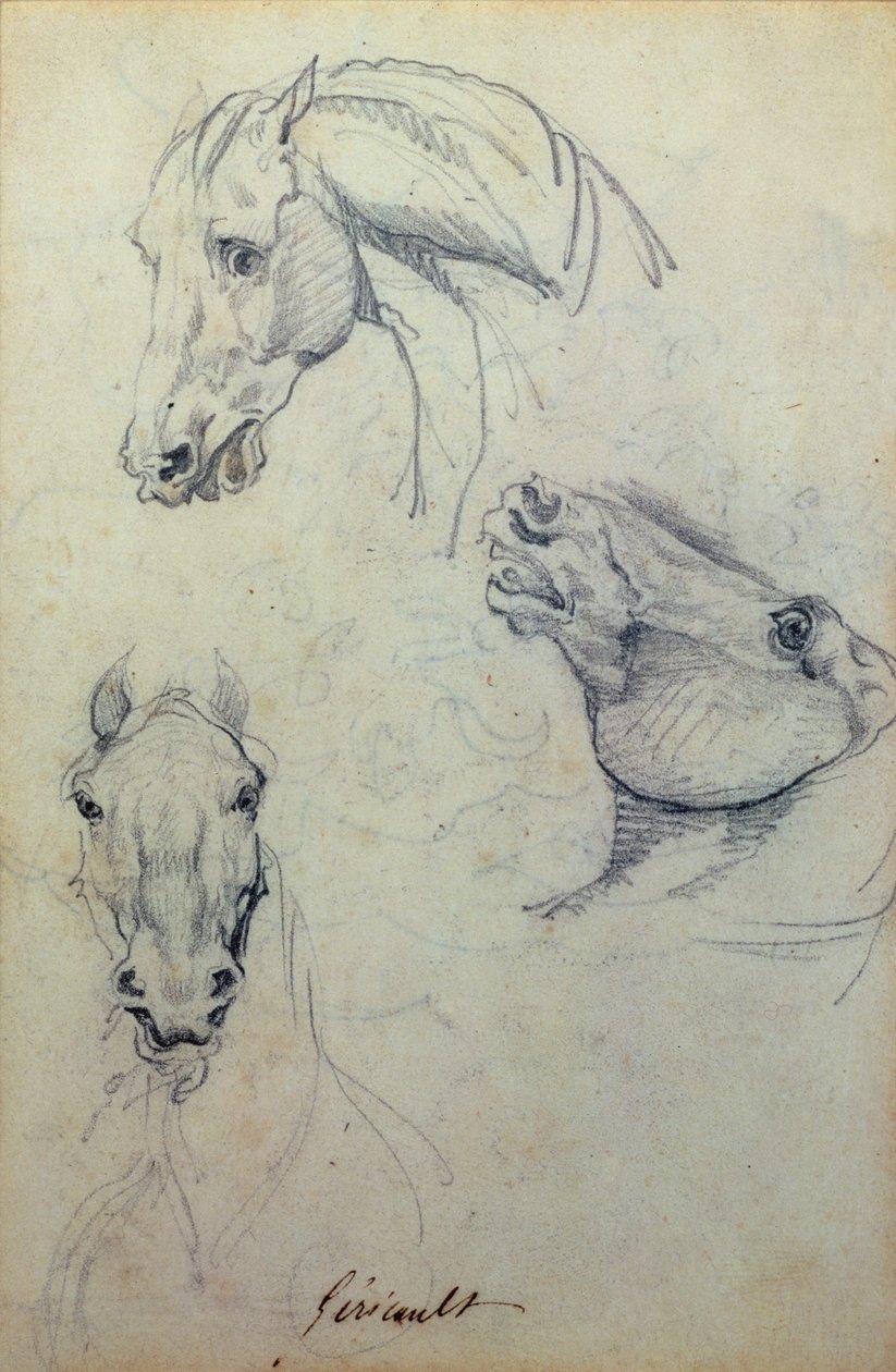 Tre hestehoveder (blyant) af Theodore Gericault