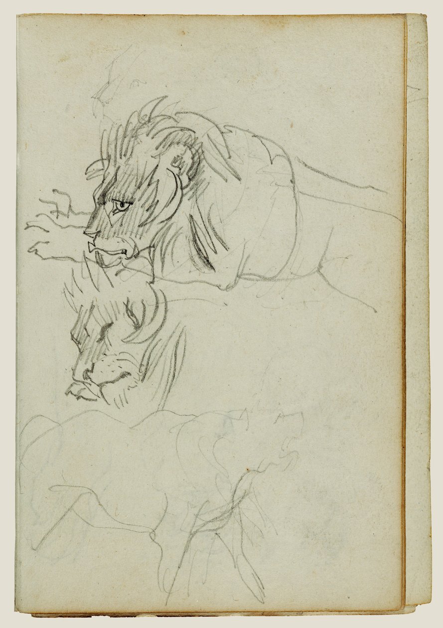 Tre løvestudier af Theodore Gericault