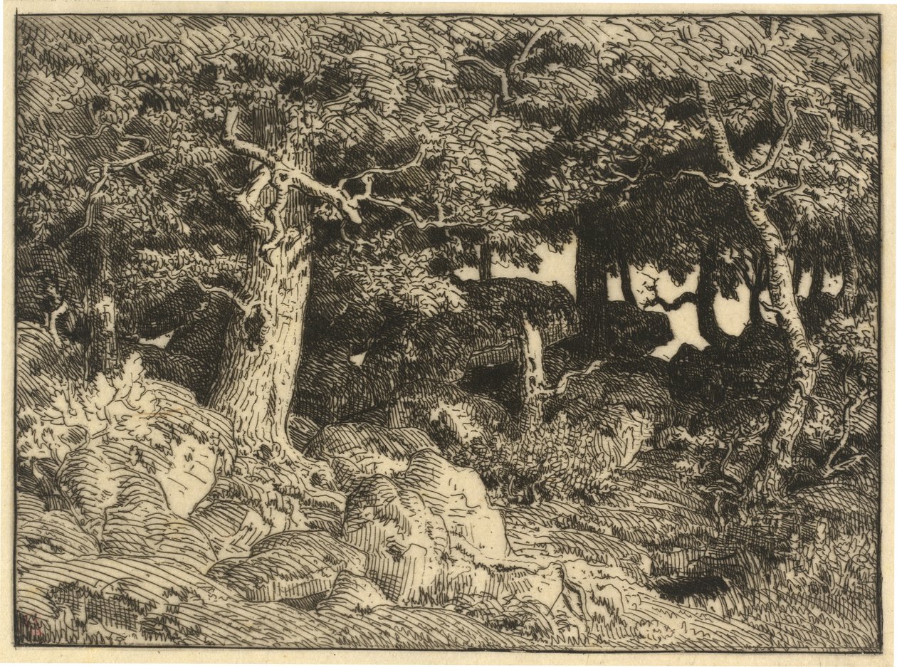 Chenes de Roche (Rock Oaks) af Theodore Rousseau