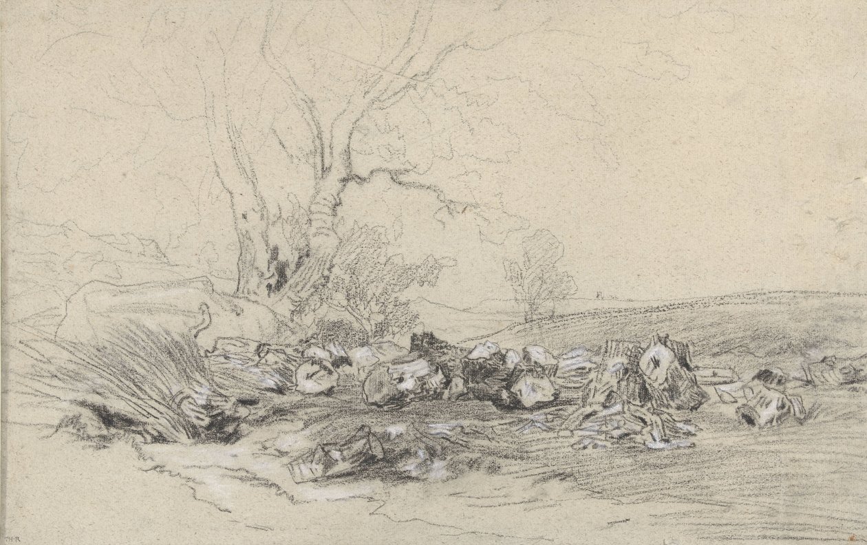fældede træer af Theodore Rousseau