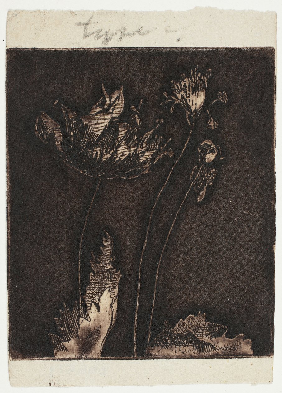 Sidste valmuer af Theodore Roussel