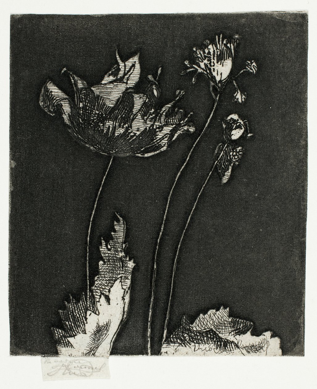 Sidste valmuer af Theodore Roussel