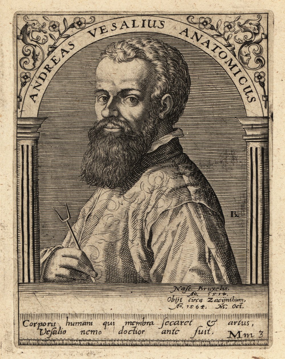 Andreas Vesalius, flamsk læge, anatom af Theodore de Bry