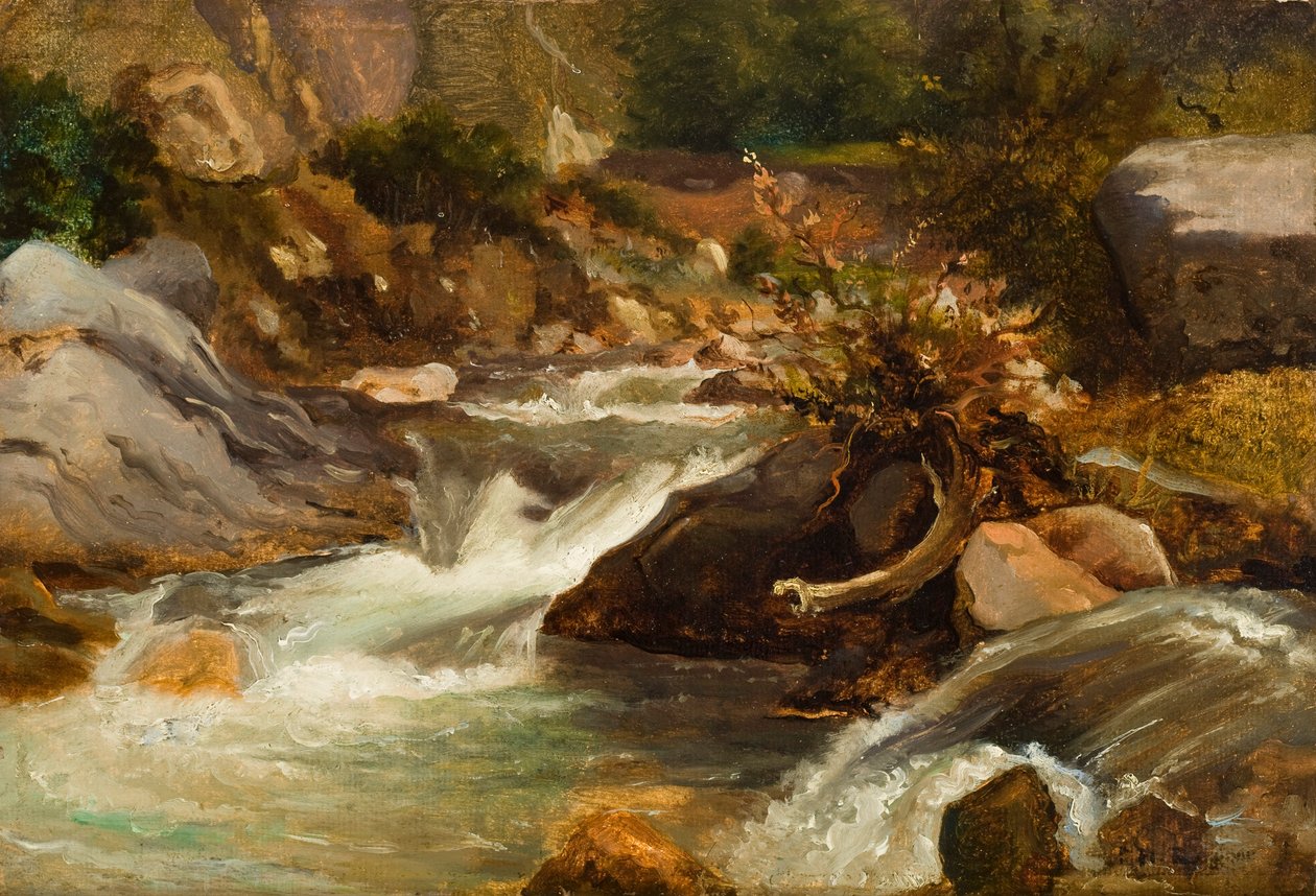 Landskabsstudie (La Source) c.1830 (olie på papir monteret på panel) af Pierre Etienne Theodore Rousseau