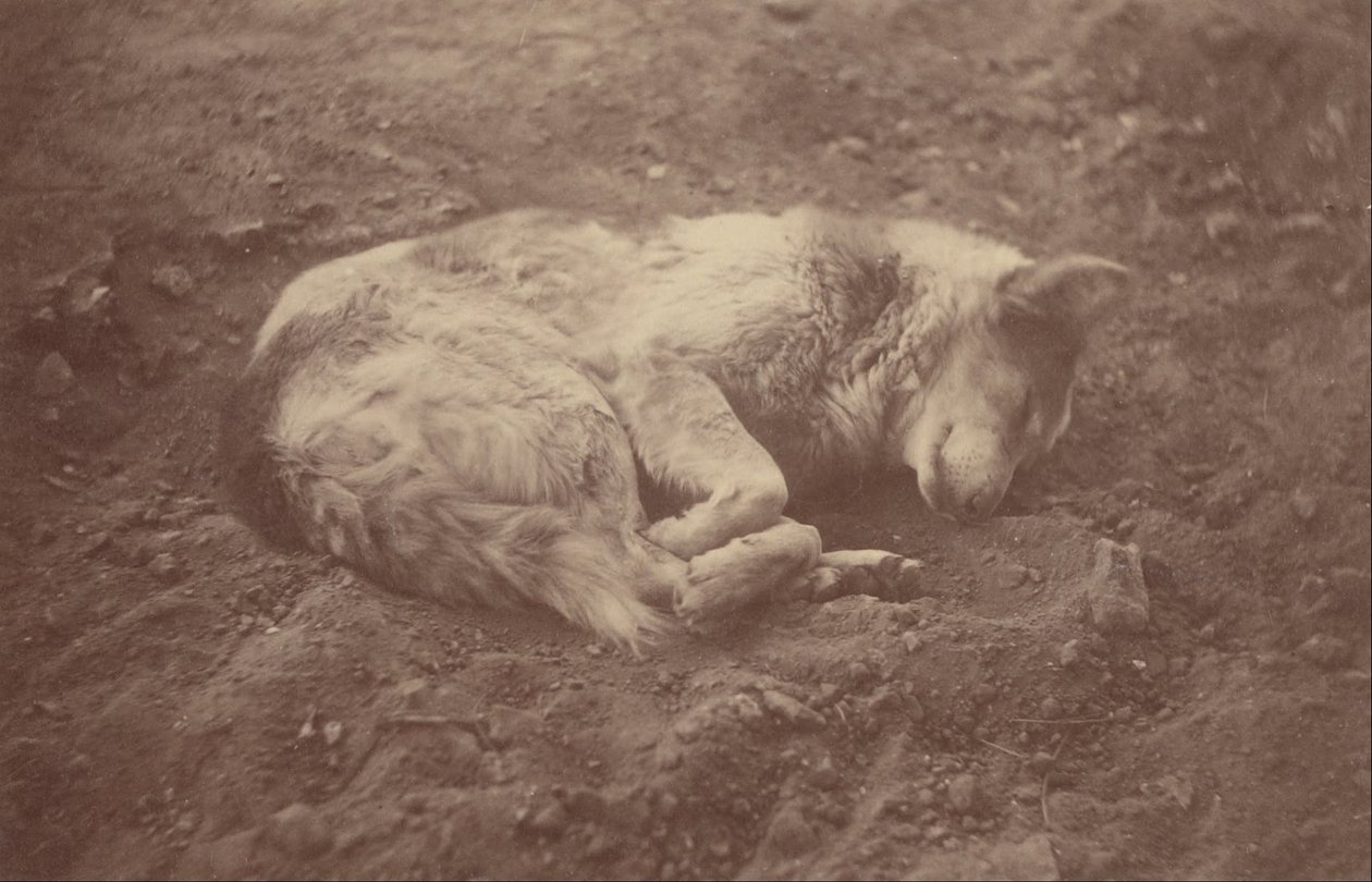 (Sovende hund) af Théodule Devéria