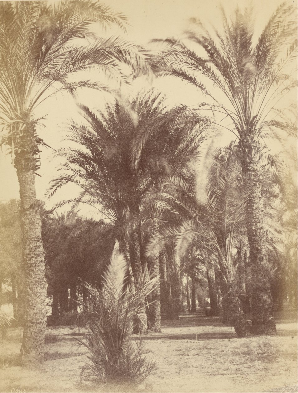 Gous af Théodule Devéria