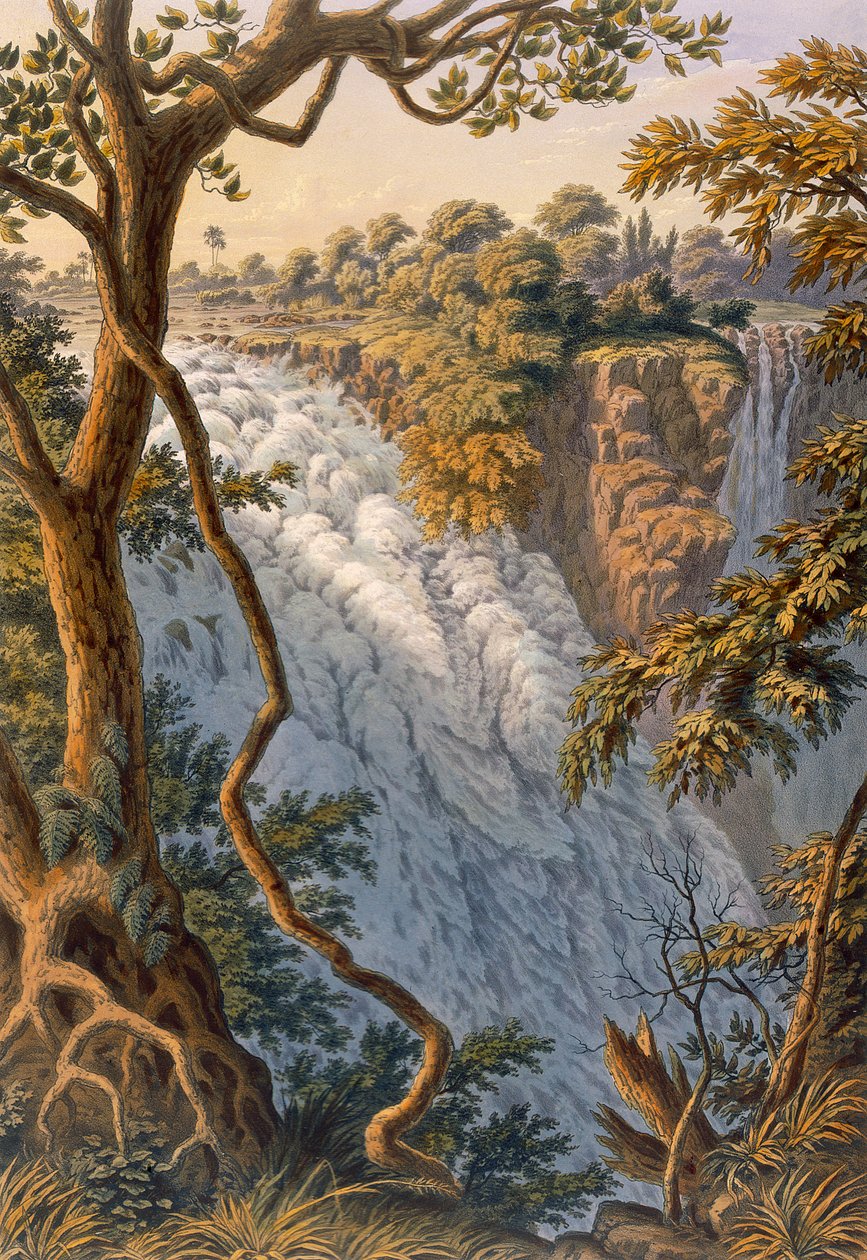 Victoria Falls: Det springende vand af Thomas Baines