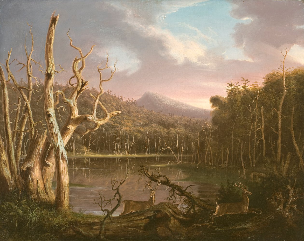 Sø med døde træer (Catskill) af Thomas Cole