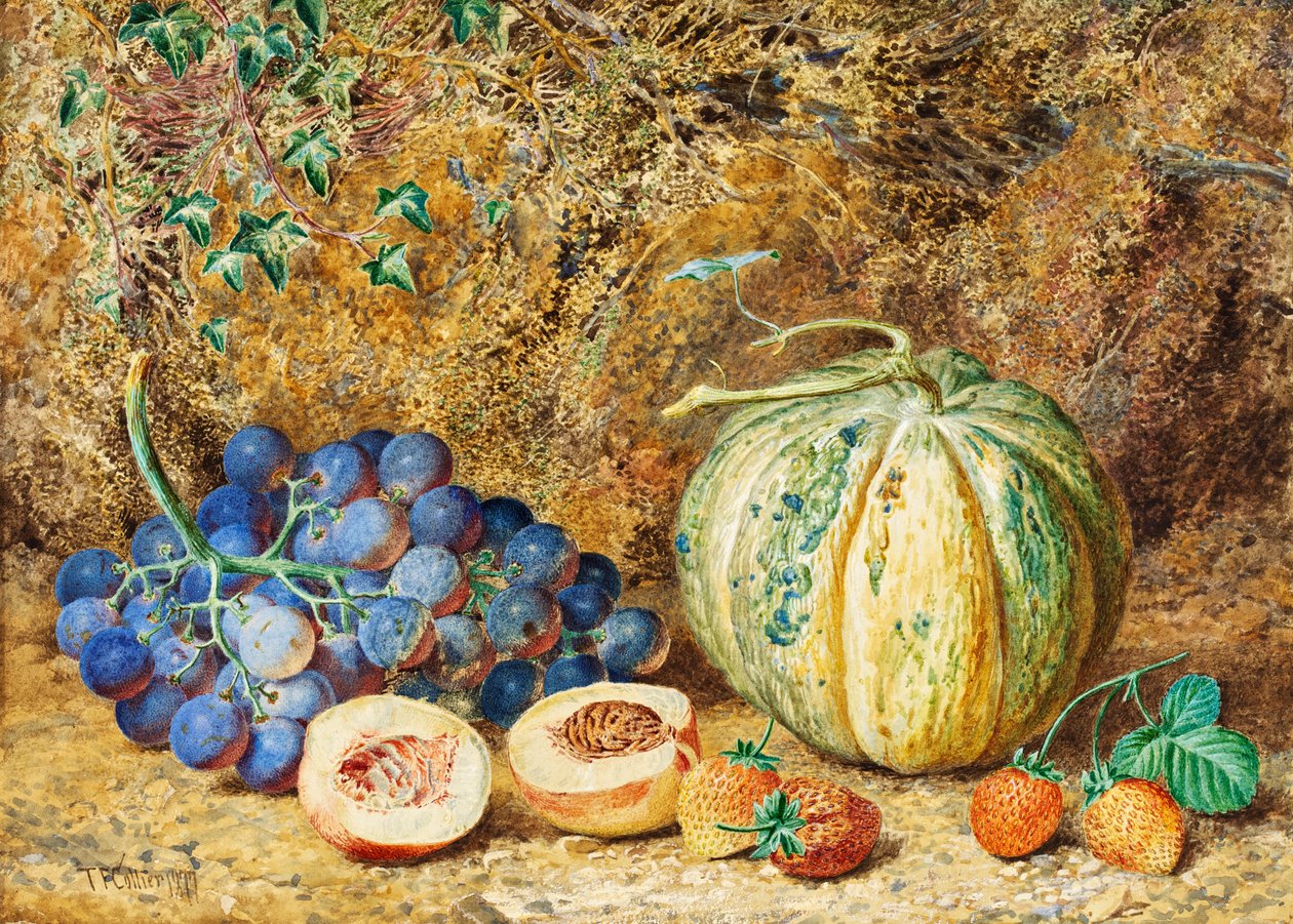 Druer og jordbær, 1877 af Thomas Collier
