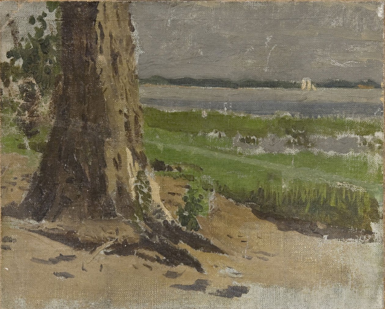 Ukendt billede af Thomas Eakins