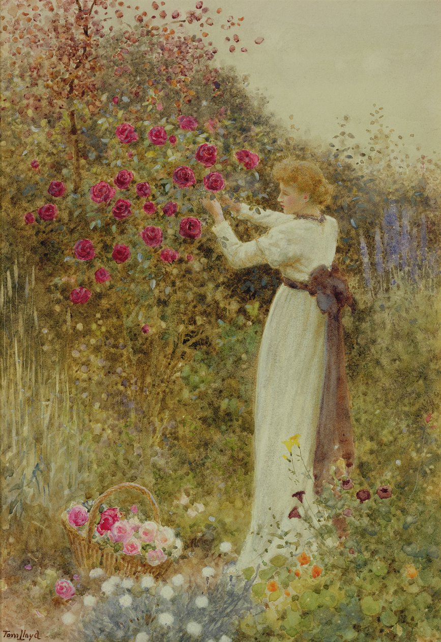 Roses, 1867 (wc med kropsfarve på papir) af Thomas James Lloyd