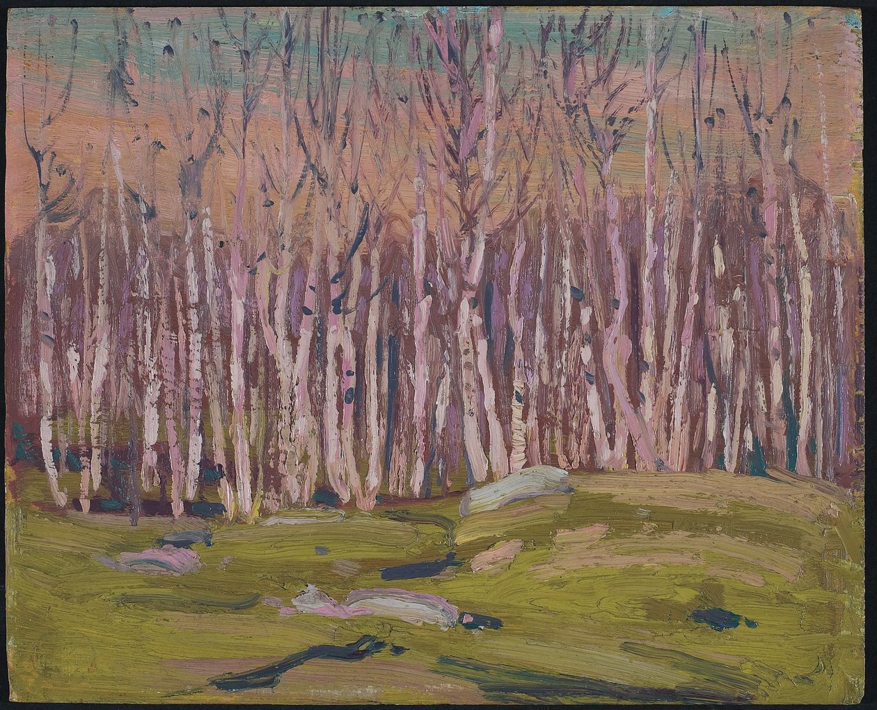 Sølvbirkes, ca. 1915 (olie på træpanel) af Tom Thomson