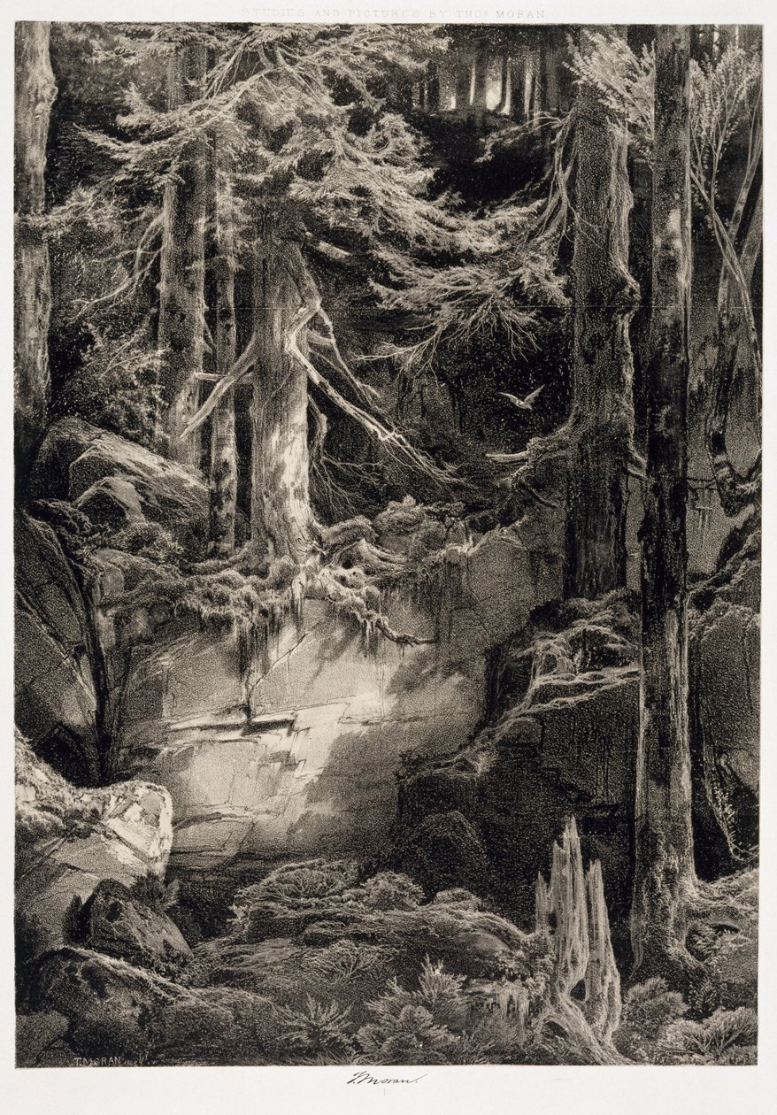In the Forest of the Wissahickon, 1868 af Thomas Moran
