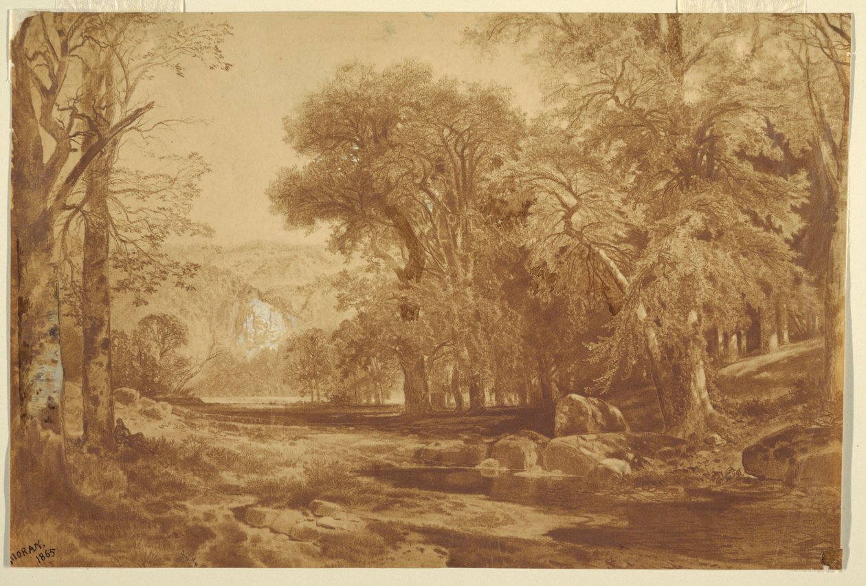 Fotografi, i Upper Delaware af Thomas Moran