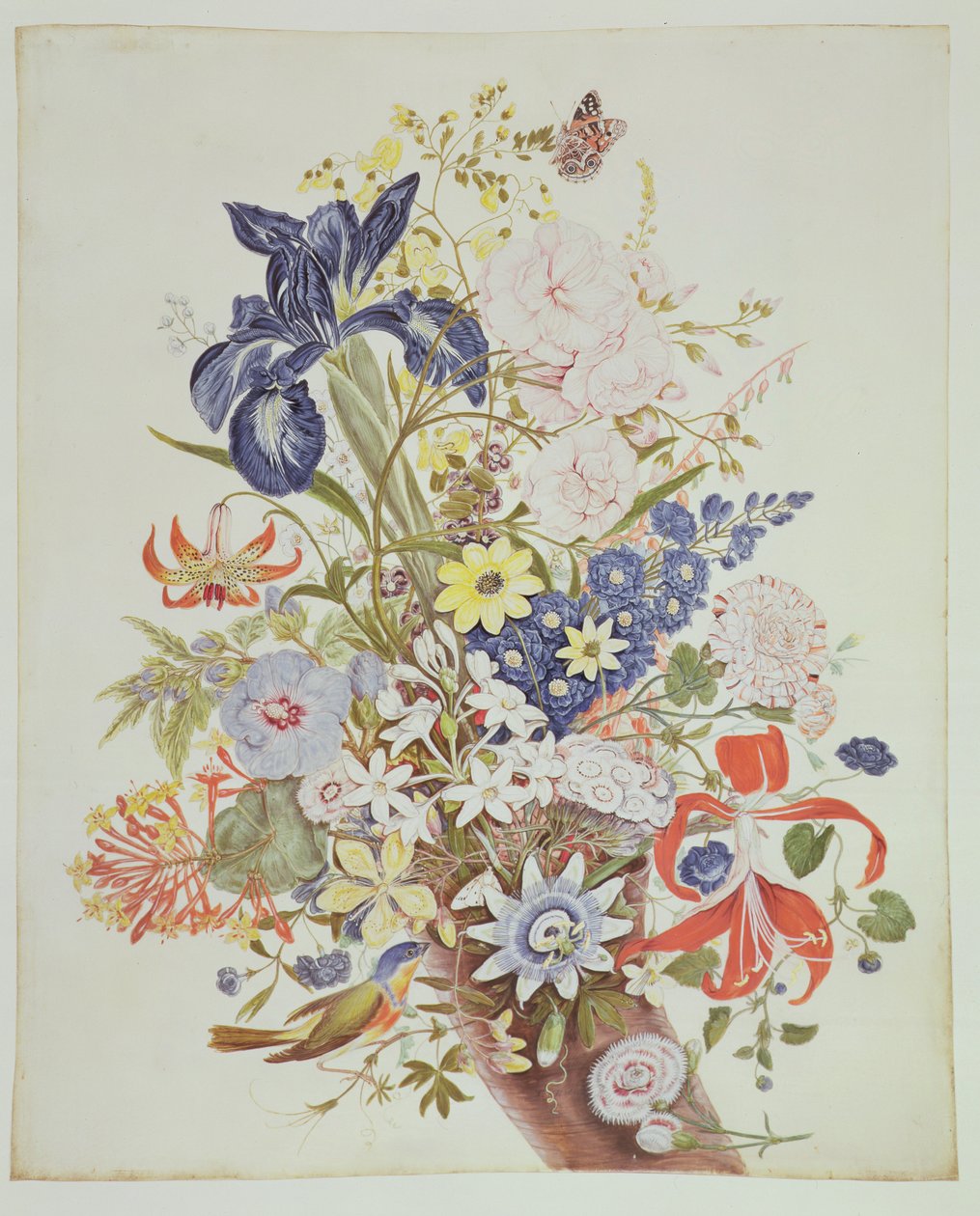 PD.915-1973 Blandede blomster i et overflødighedshorn, ca. 1768 (wc og gouache på vellum) af Thomas Robins