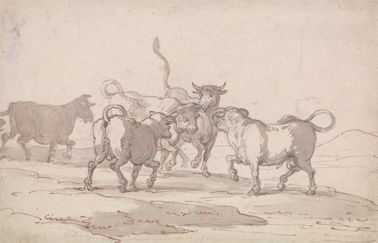 En gruppe på fem tyre er ved at kæmpe af Thomas Rowlandson