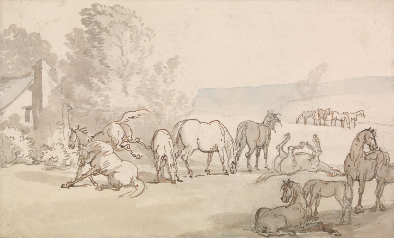 Hopper og føl på en mark af Thomas Rowlandson