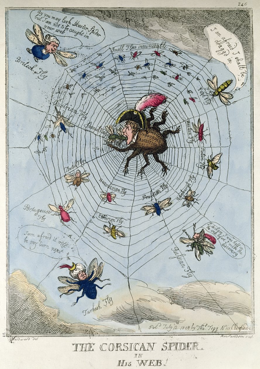 Den korsikanske edderkop i sit web af Thomas Rowlandson