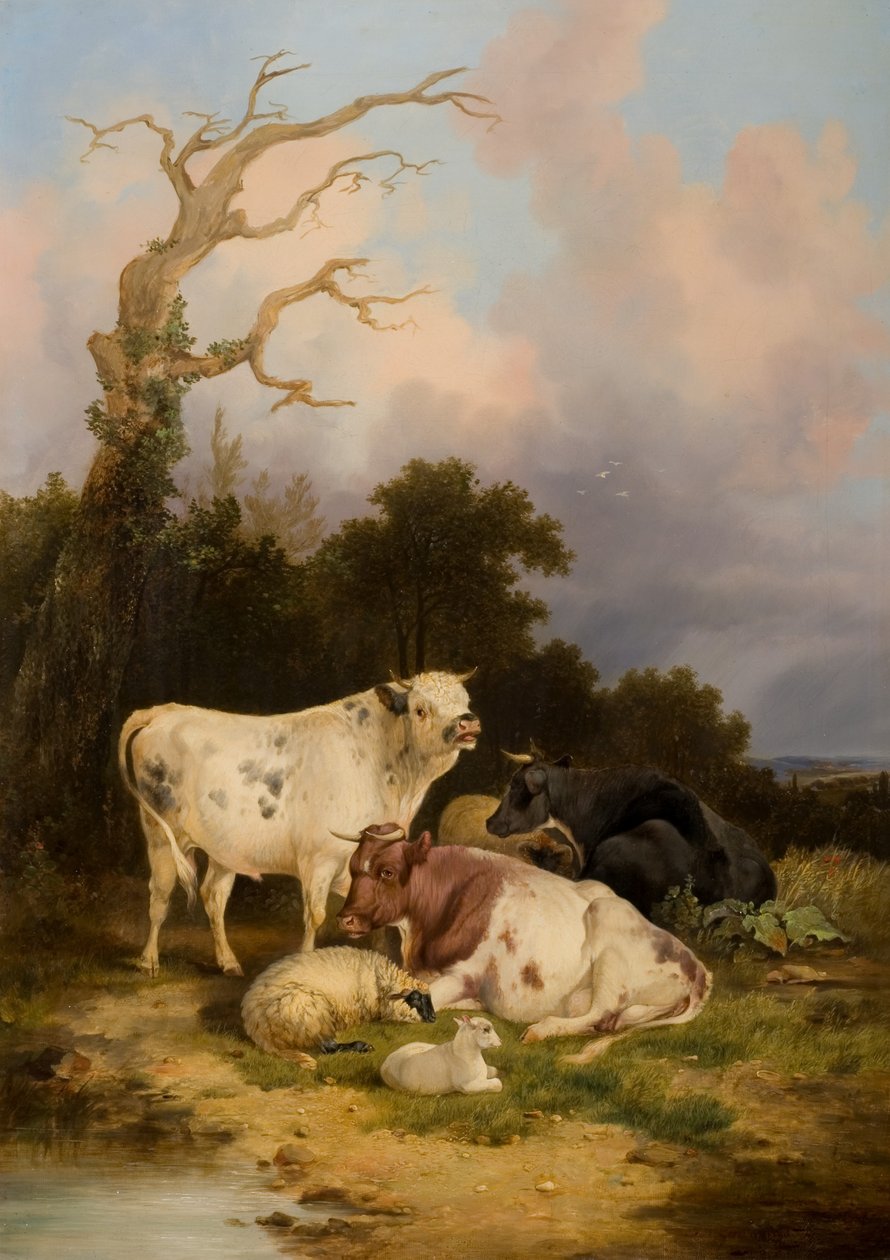 Kvæg og Får af Thomas Sidney Cooper