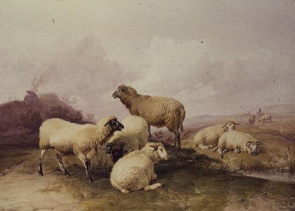 Får i et landskab, 1844 af Thomas Sidney Cooper