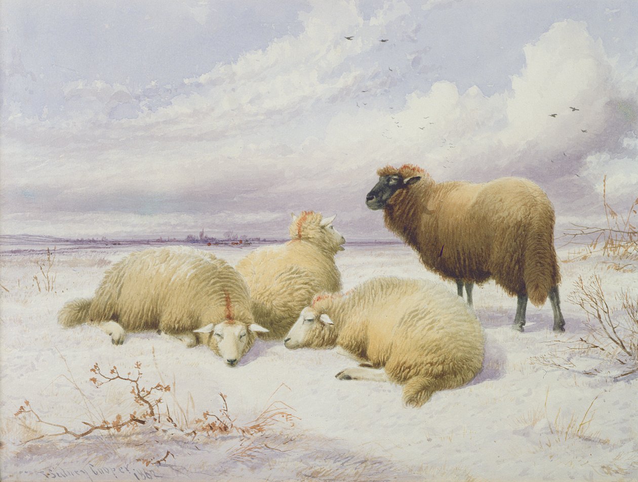 Får i sneen af Thomas Sidney Cooper