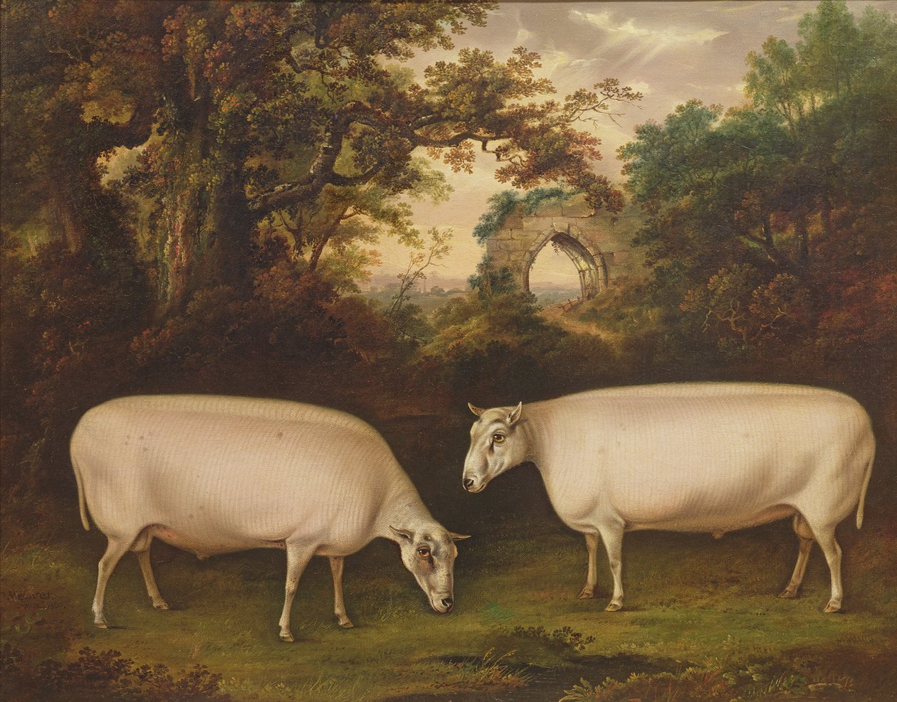 To prisgrænser Leicester Rams in a Landscape, 1800 af Thomas Weaver