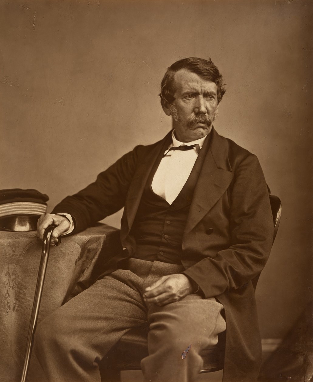David Livingstone af Thomas Annan - Original af Thomas Annan