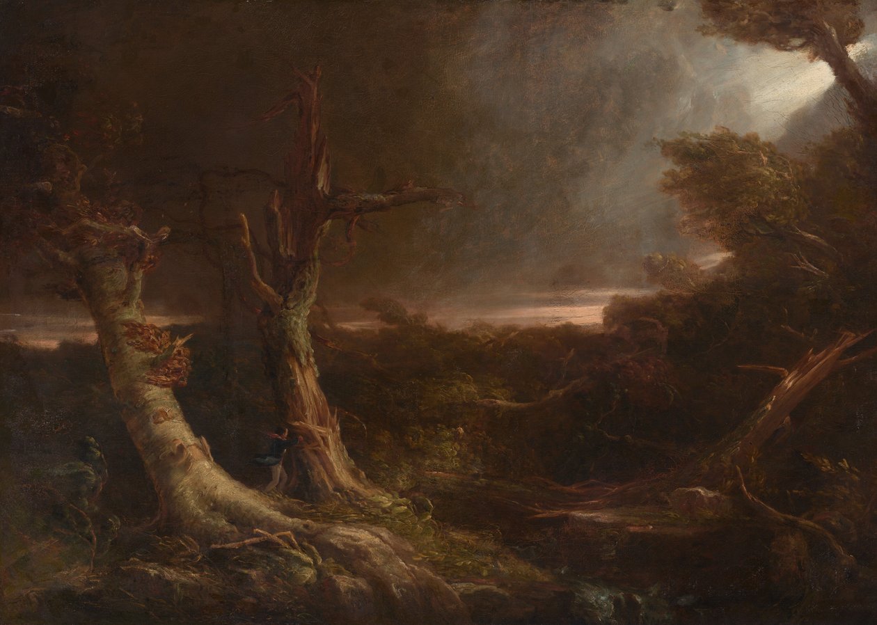 Tornado i en amerikansk skov af Thomas Cole