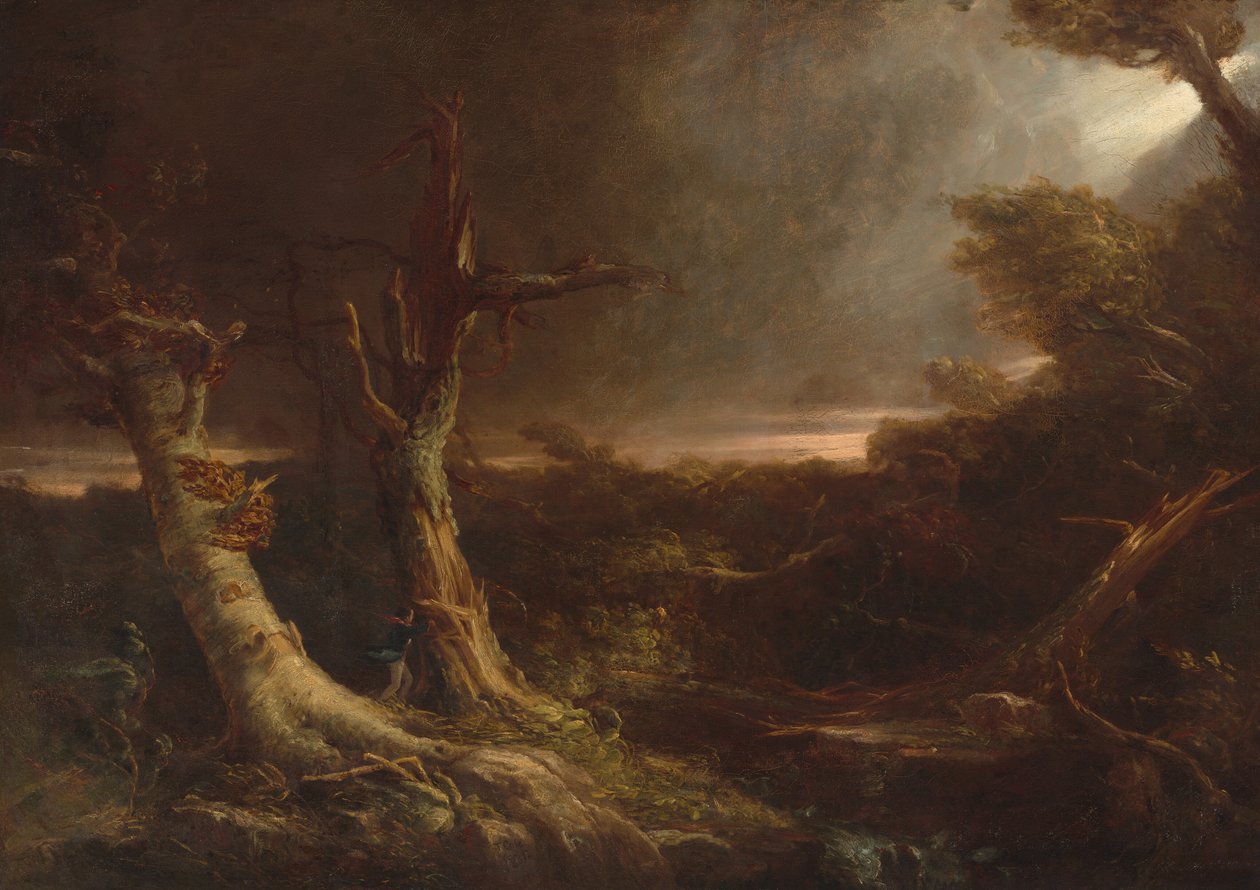 Tornado i en amerikansk skov af Thomas Cole
