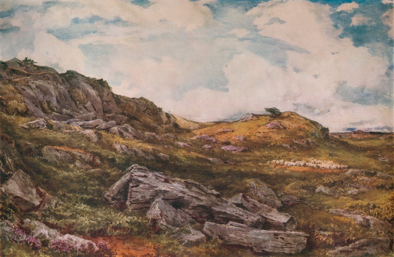 Blythburgh Common, 1888 af Thomas Collier