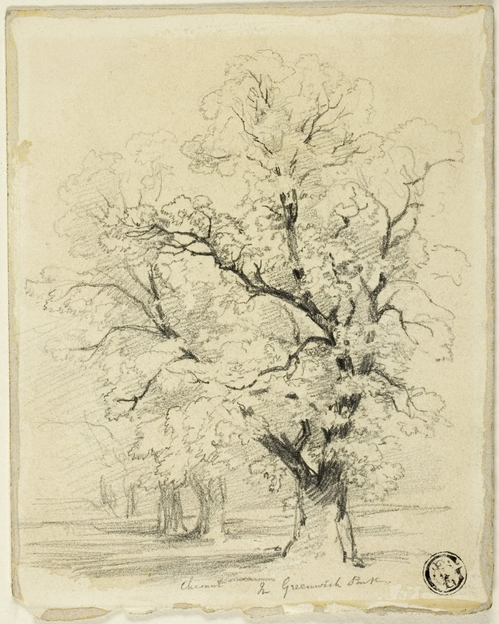 Ches[t]nut i Greenwich Park af Thomas Creswick