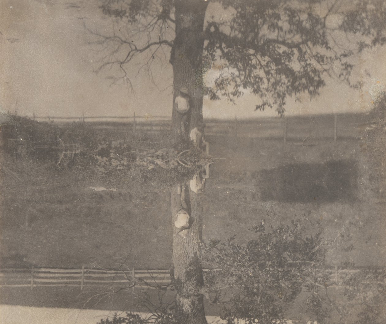 [Crowell-børn i Avondale, Pennsylvania] af Thomas Eakins