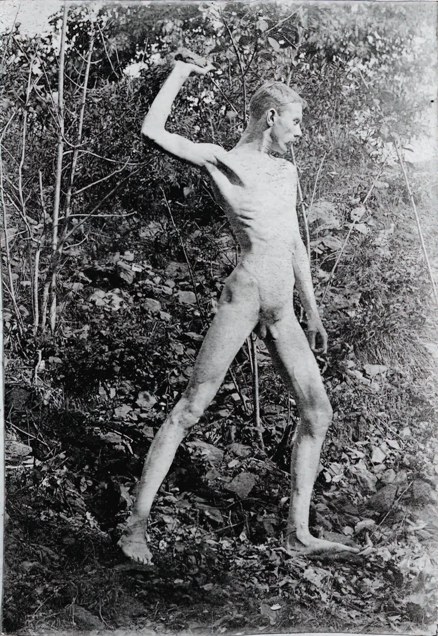 Stenkaster, ca. 1883. af Thomas Eakins