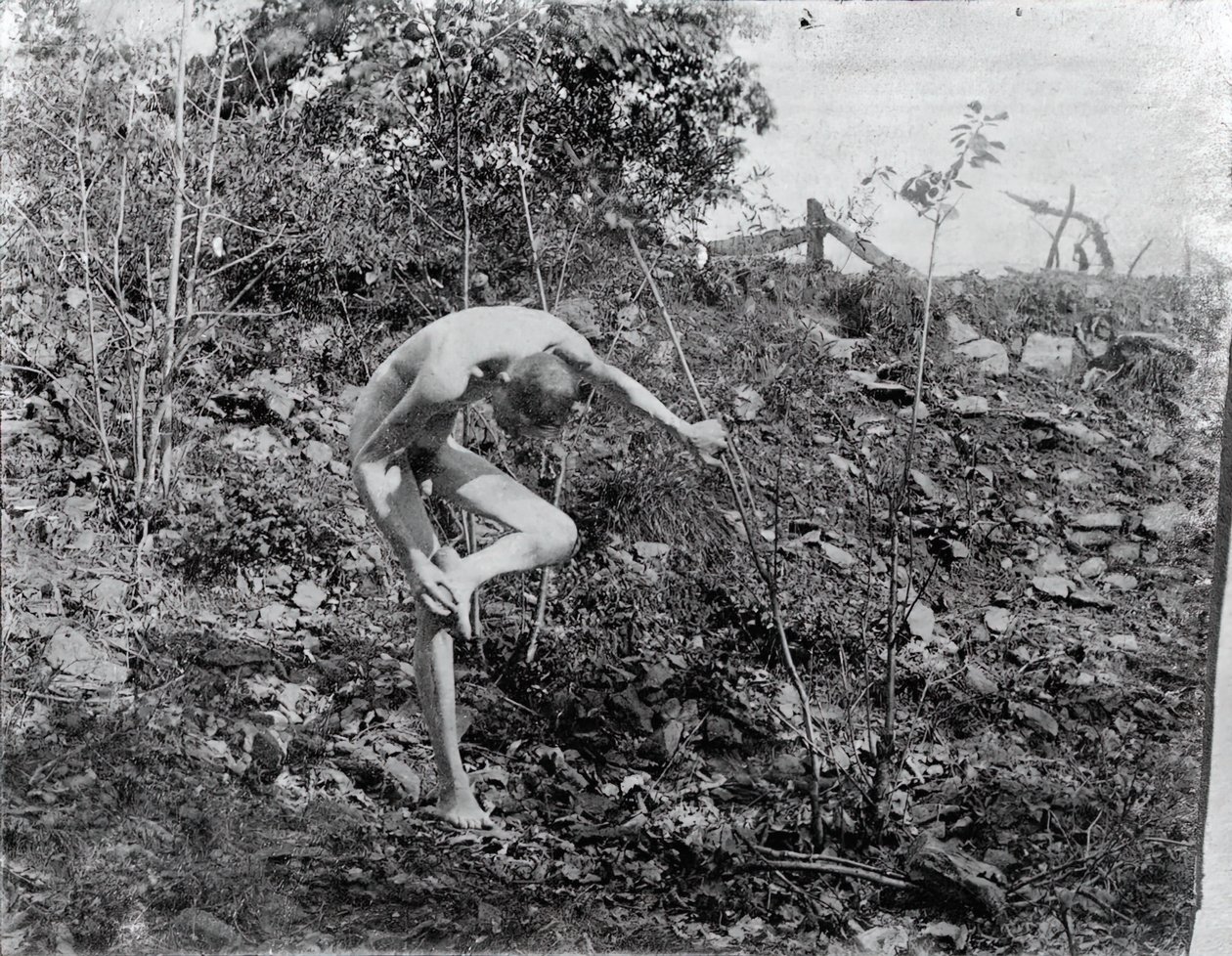 Tornetrækker, ca. 1883. af Thomas Eakins