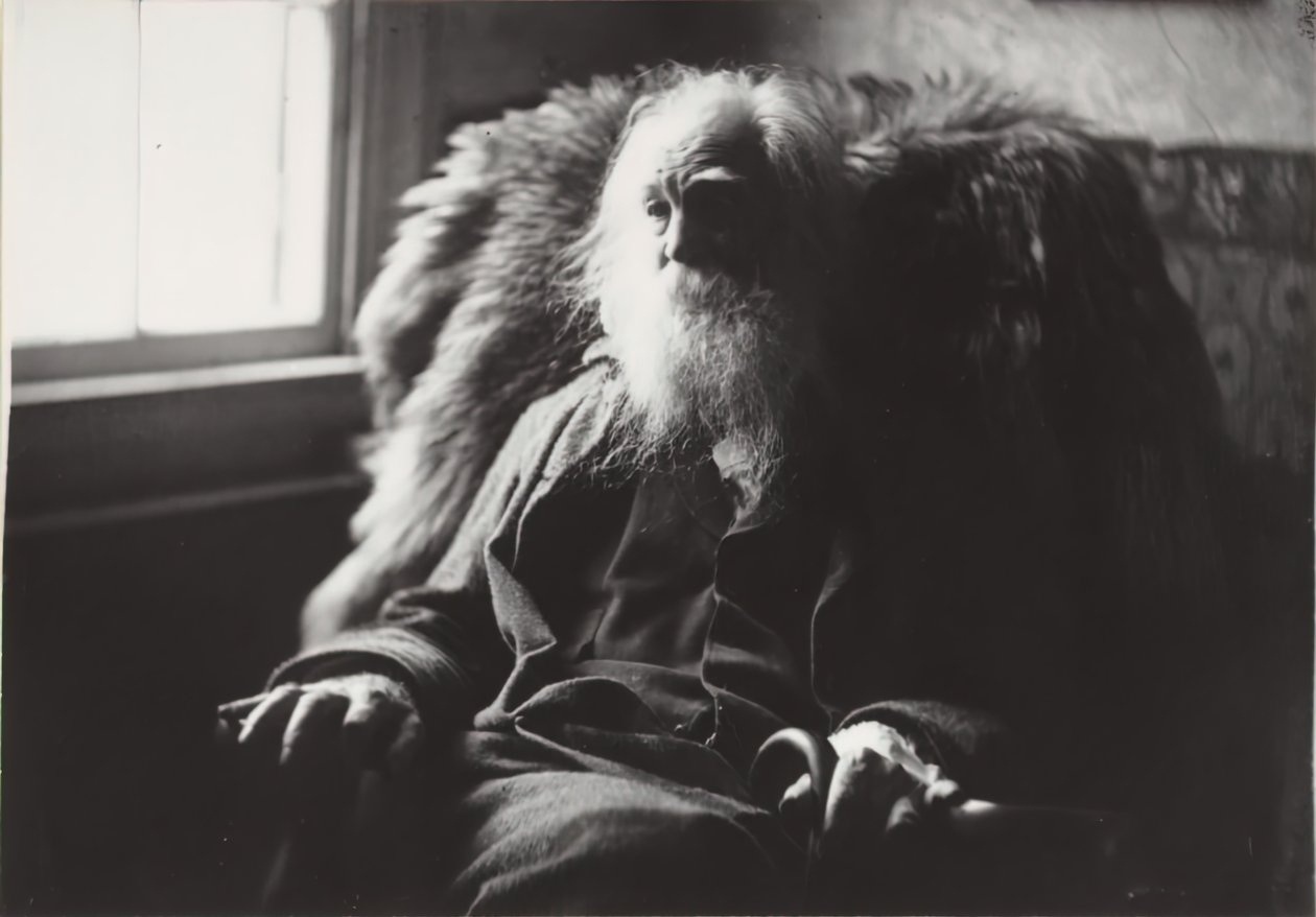Walt Whitman i Camden, N.J., ca. 1891. af Thomas Eakins