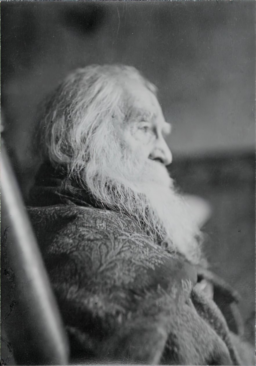 Walt Whitman i Camden, N.J., ca. 1891. af Thomas Eakins
